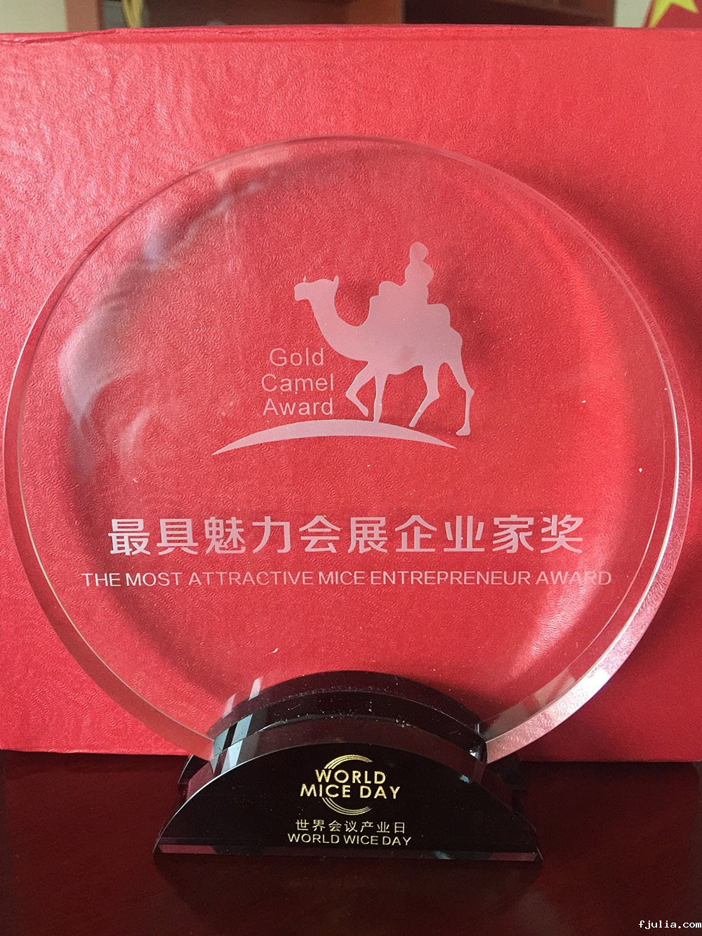 2017World MICE Day最具魅力会展企业家奖